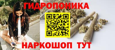 2c-b Камышлов